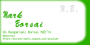 mark borsai business card